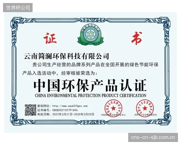 快速上市的FSR智能沙袋，其内部电路的电气安全性与材料环保认证普遍存在监管空白